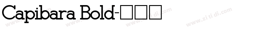 Capibara Bold字体转换